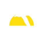 Albatros V